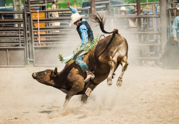 how much money does a bull rider make