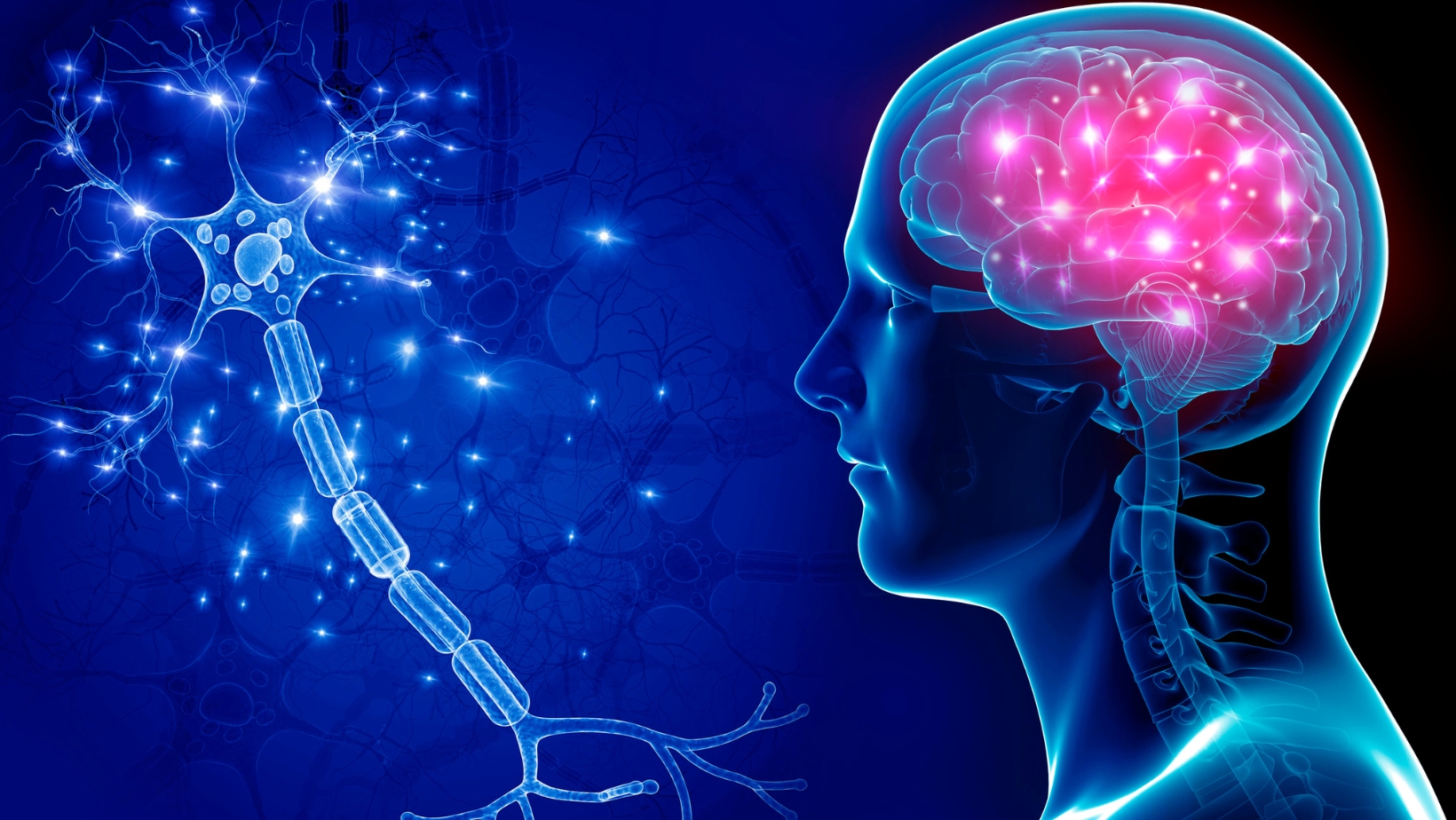 How Many Brain Cells Do You Lose When You Sniff a Sharpie The