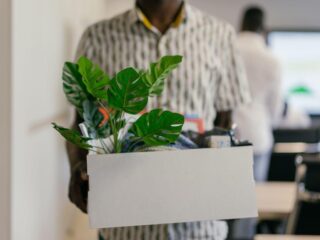 A man in a striped shirt carries a cardboard moving box holding a potted plant and desk items, walking away from an empty office workstation while another employee stands near a bright window in the background.